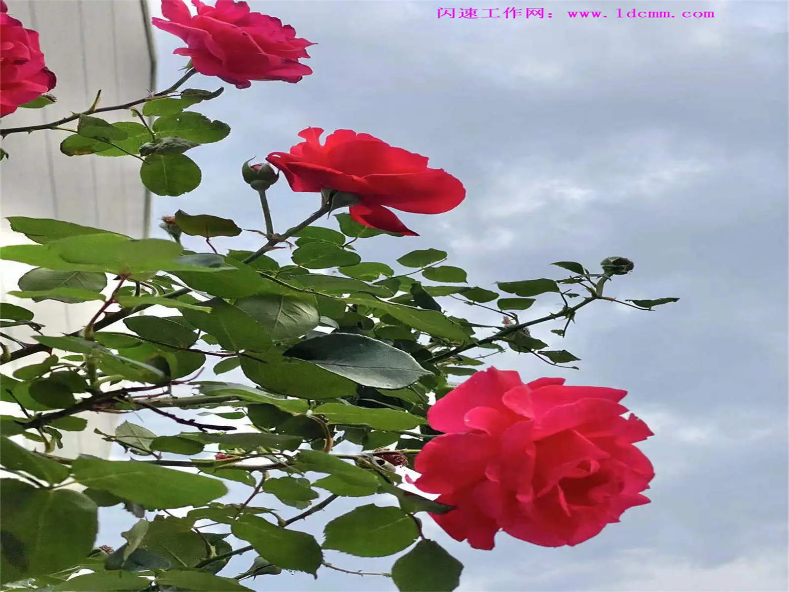 闪速工作网发布的智能化测绘软件界面